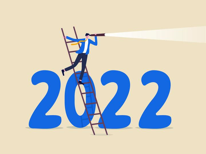 Figure on a ladder looking to 2022